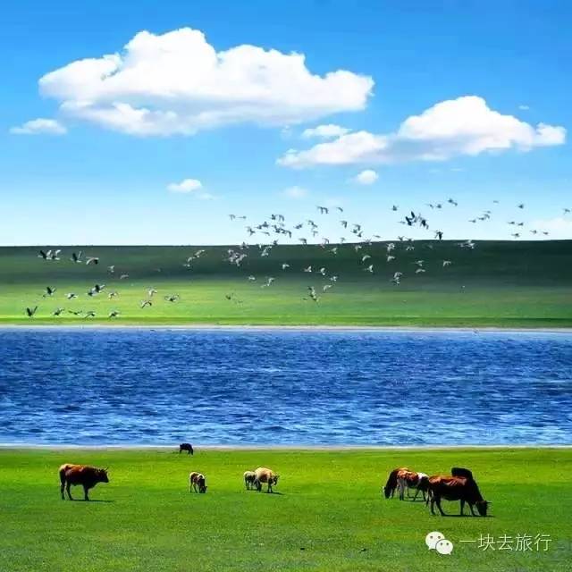 下雨前可以钓鱼吗-下雨前钓鱼：大自然的交响乐前奏，让人心跳加速的奇妙体验