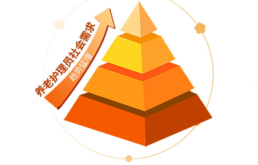 navicat11.2.15注册码-Navicat11.2.15 注册码：程序猿/媛的爱恨情仇