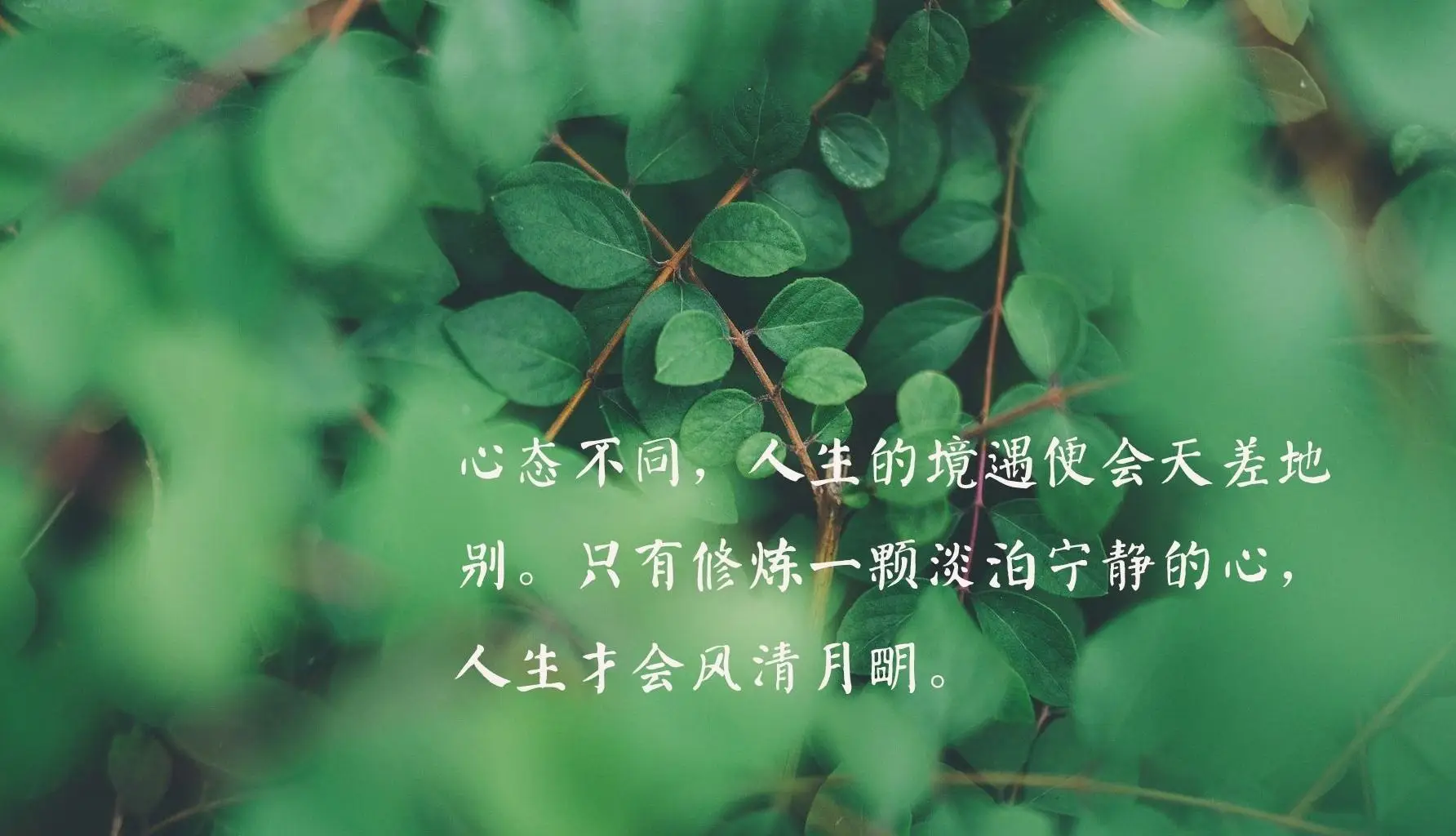 剑灵刺客角色第三系加点_剑灵刺客伤害高吗_2024剑灵刺客pk加点