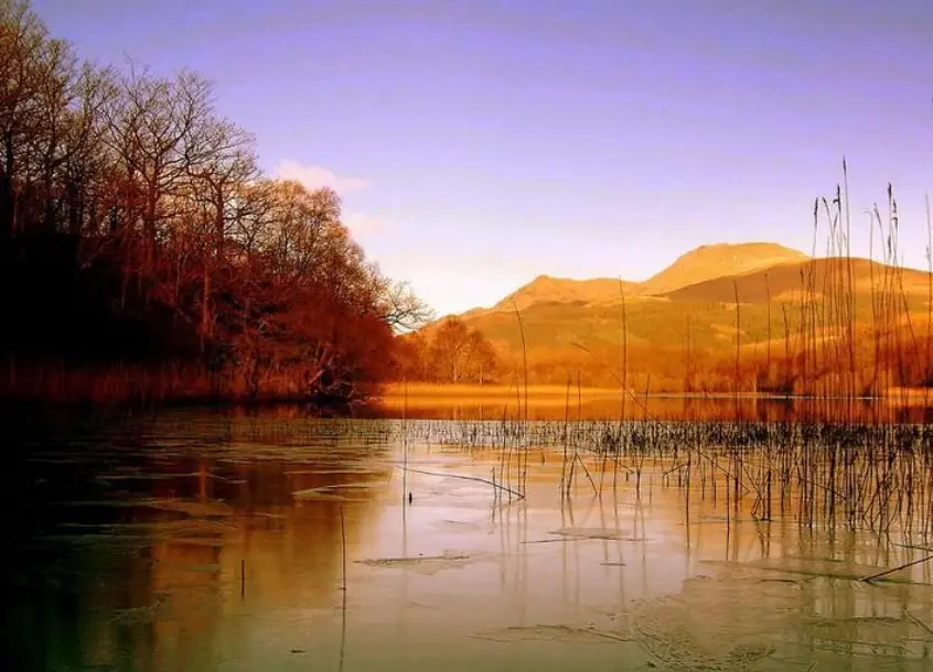 信喵之野望武将_女武将的野望_女武将的野望攻略