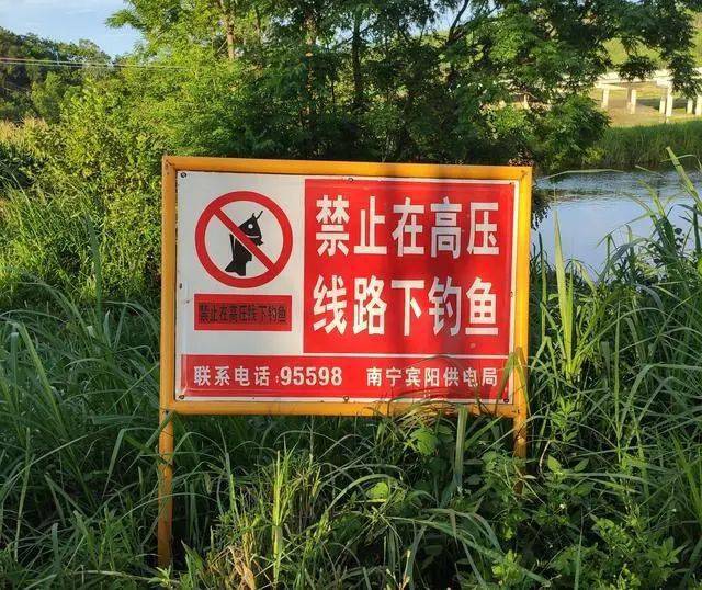 暴雨过后水库好钓鱼吗-暴雨后钓鱼趣事：水位上涨，鱼儿都去哪了？