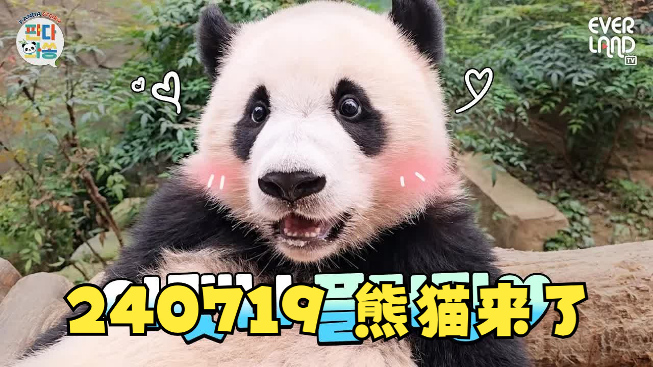熊猫回话下载_会说话的熊猫在哪下载_熊猫说话高清正版视频