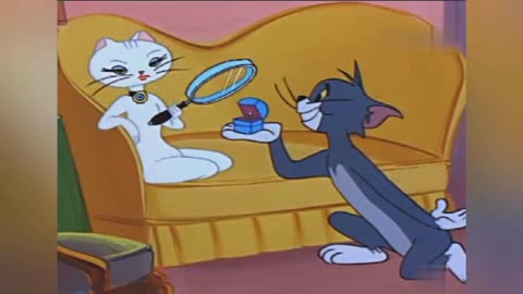 猫老鼠和鸡阅读答案_鸡妈妈和老鼠的故事_猫和老鼠哪集有鸡妈妈