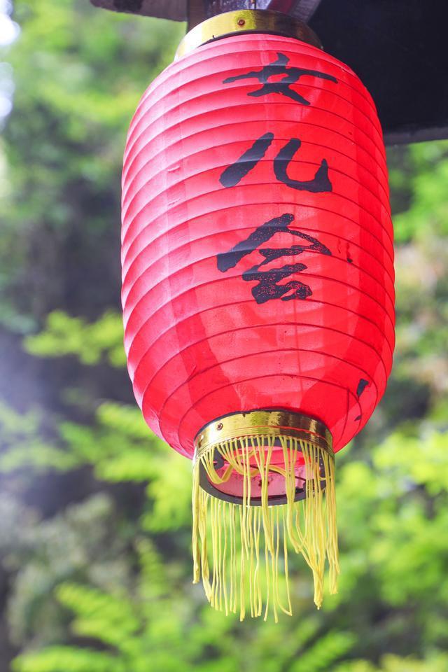 感受沙鹰的野性与力量，体验与大自然融为一体的美妙