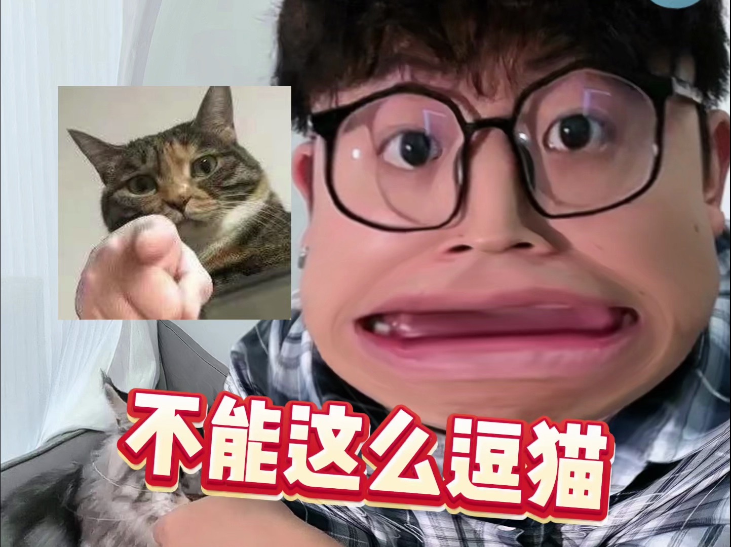 幼猫咪咬人_幼猫爱咬人手_幼猫爱咬人