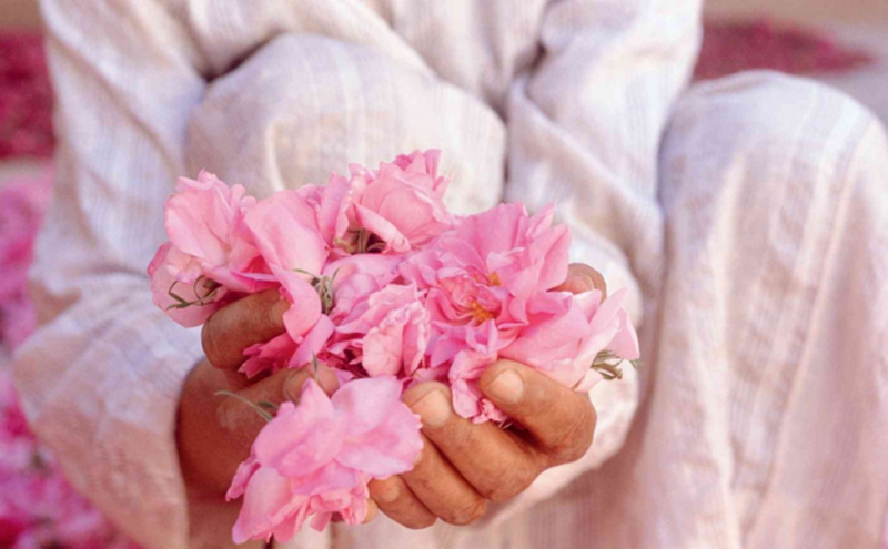 疯狂白领小游戏_白领疯狂游戏小说_白领玩的游戏