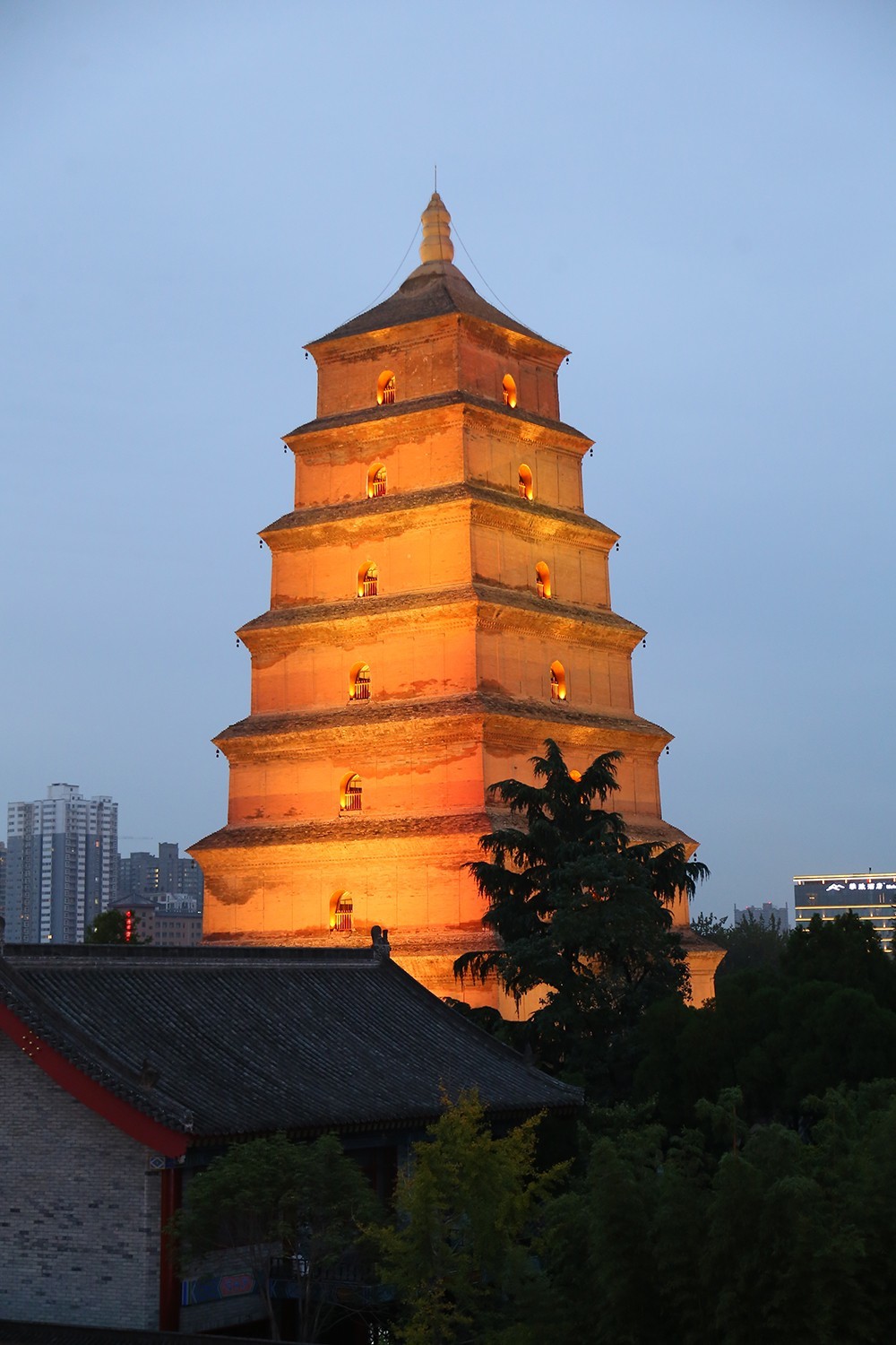 格斗之夜2024-格斗之夜 2024：见证热血与激情交织的历史诞生