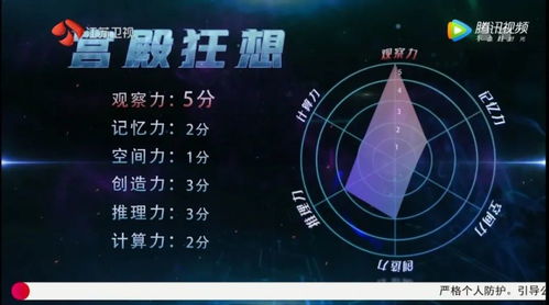 最强大脑项目游戏网页,探索最强大脑项目游戏，开启脑力挑战之旅
