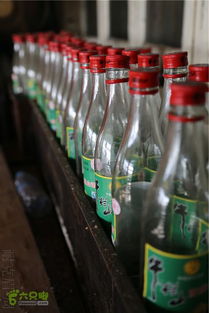 酒瓶子游戏,瓶中钓鱼趣味游戏体验