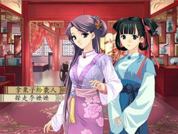 红楼梦小游戏,雅俗共赏的智慧游戏