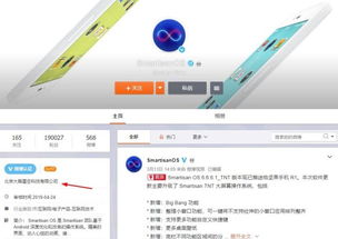 安卓阵营谁的系统最好,谁的系统独领风骚？深度解析系统优劣