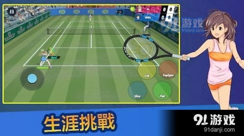 打网球安卓版游戏,畅游网球世界——安卓版打网球游戏深度体验