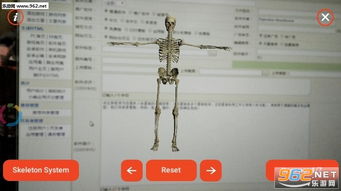 人体结构软件安卓游戏,安卓游戏带你领略人体结构魅力